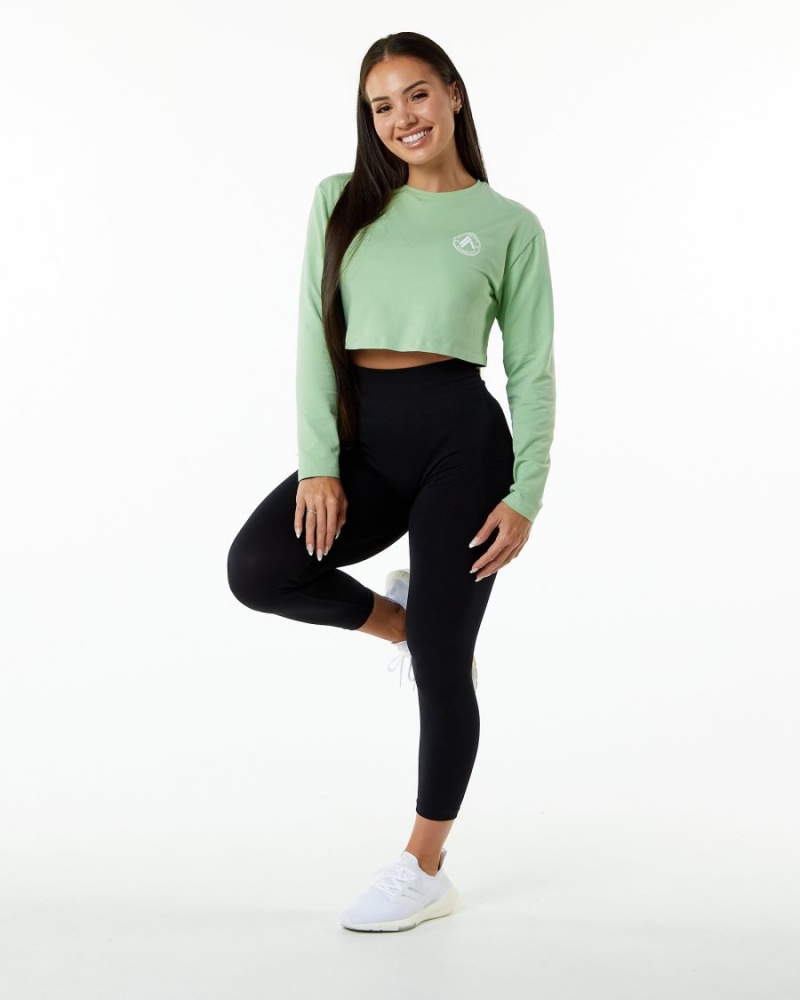 Women's Alphalete Dynasty LS Crop Long Sleeve Pistachio | 9764-FLXWO