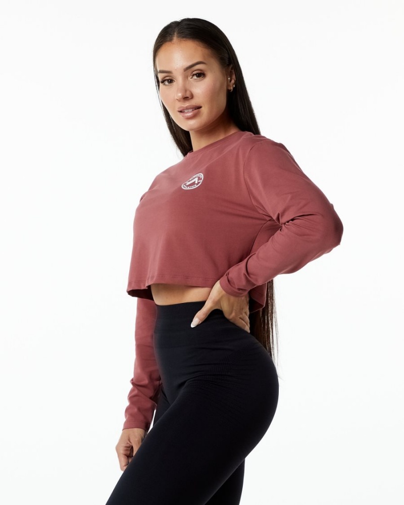 Women's Alphalete Dynasty LS Crop Long Sleeve Gingerbread | 3286-DGXJM