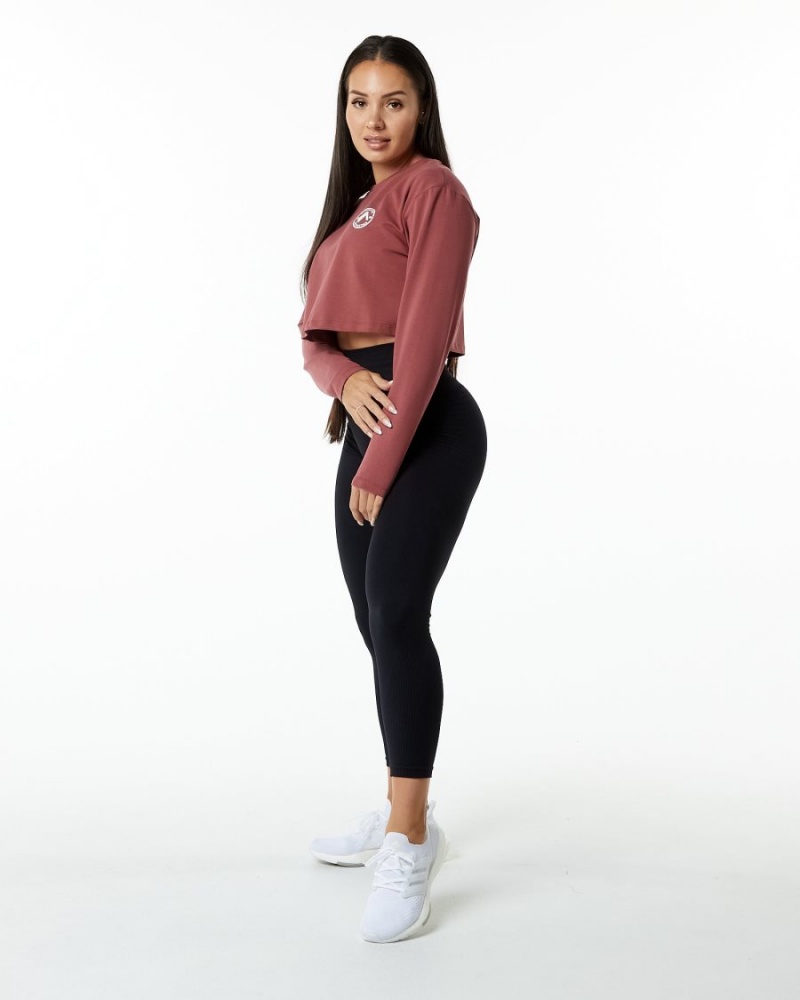 Women's Alphalete Dynasty LS Crop Long Sleeve Gingerbread | 3286-DGXJM