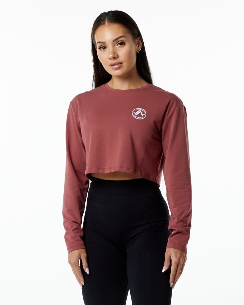 Women\'s Alphalete Dynasty LS Crop Long Sleeve Gingerbread | 3286-DGXJM