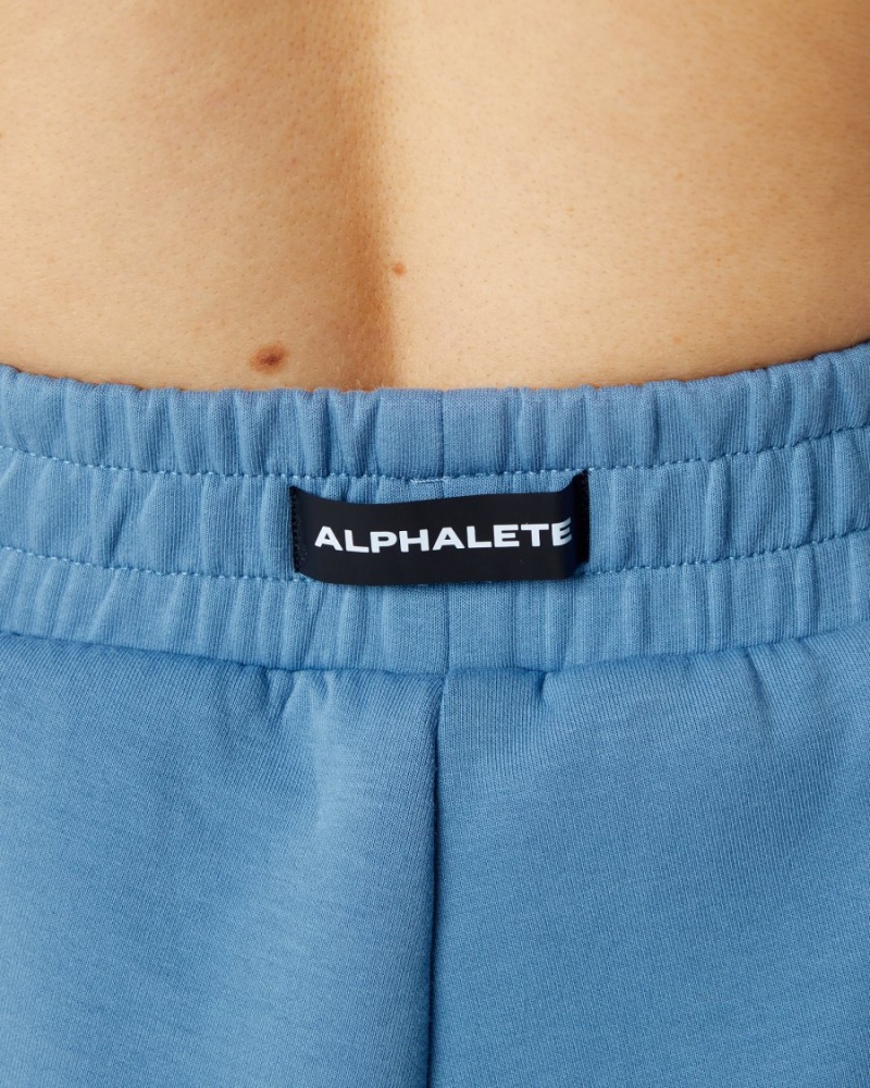 Women's Alphalete ELMTS Athletic Short 3.5" Shorts Fog Blue | 0629-KDAJP