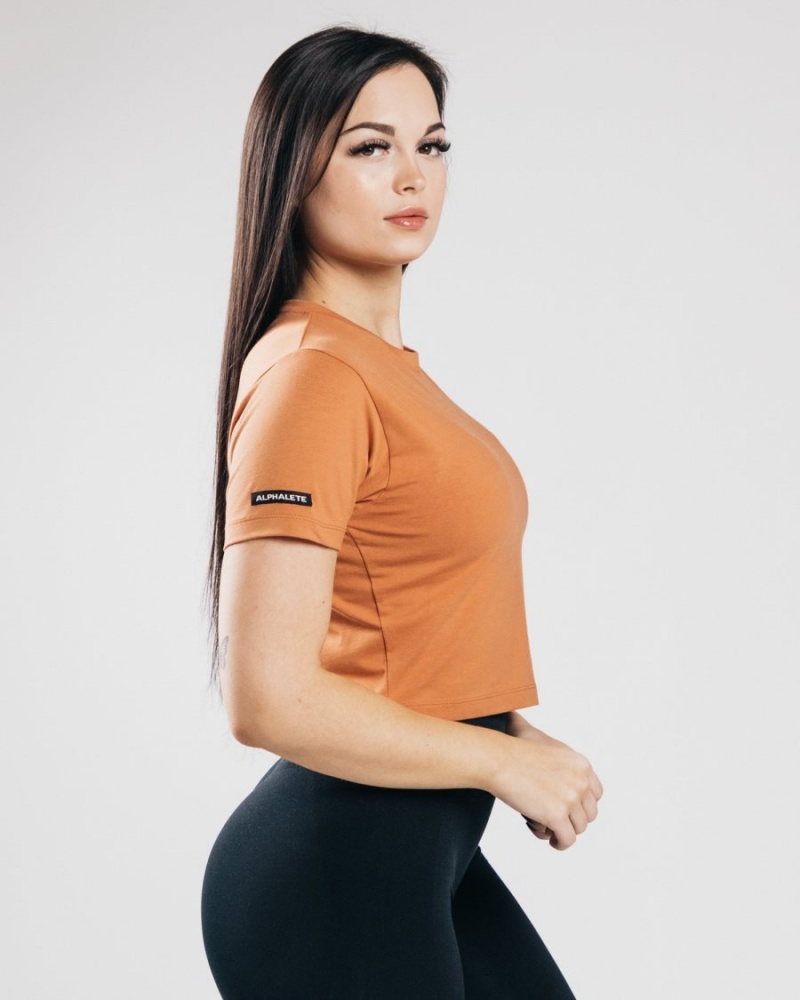 Women's Alphalete Essential Short Sleeve Crop Shirts Clay | 7634-DUBOC