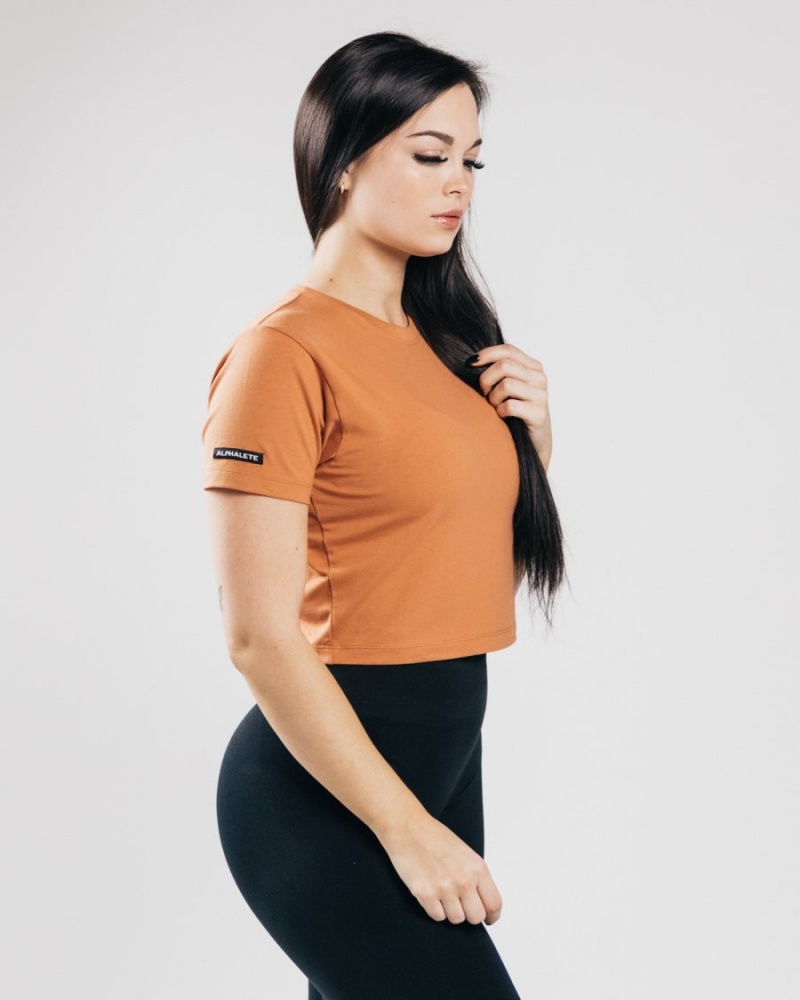 Women's Alphalete Essential Short Sleeve Crop Shirts Clay | 7634-DUBOC