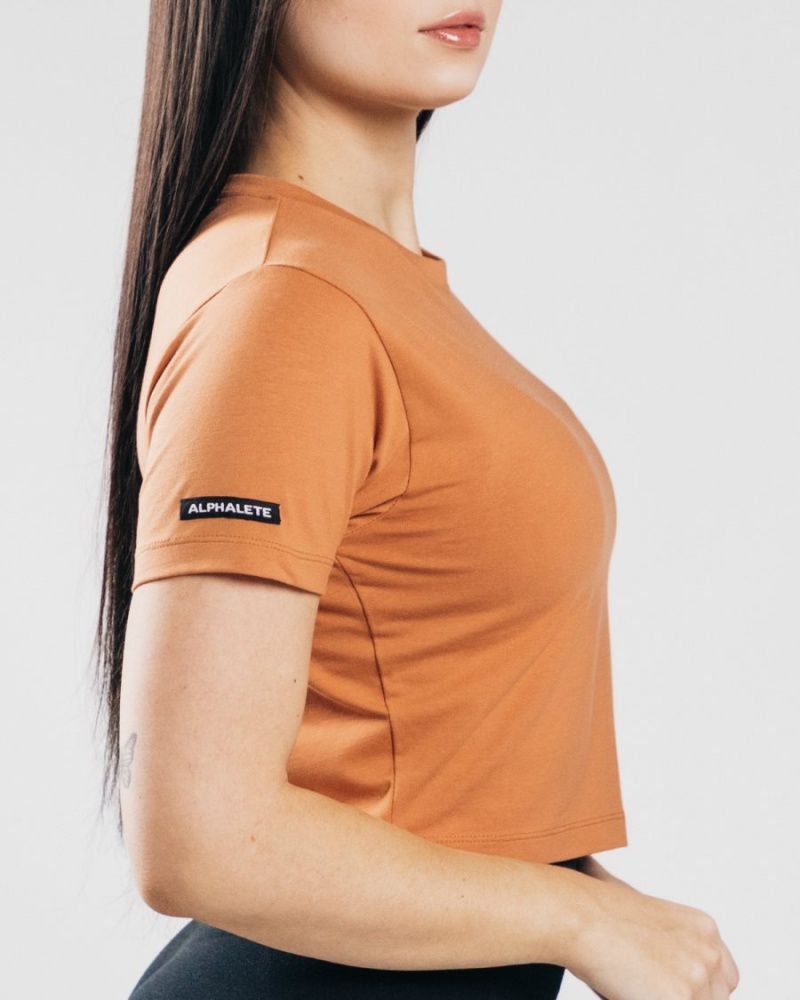 Women's Alphalete Essential Short Sleeve Crop Shirts Clay | 7634-DUBOC