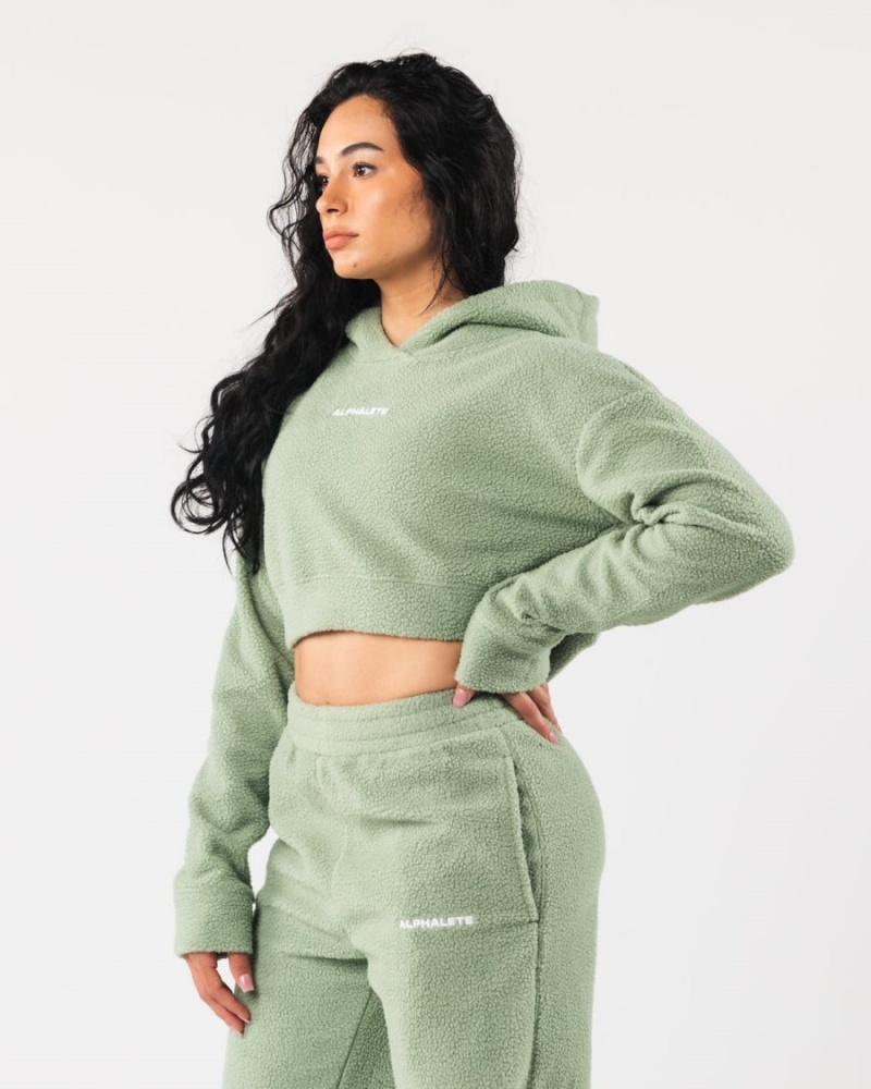 Women's Alphalete King Crop Hoodie Hoodie Sage | 9342-LURBF