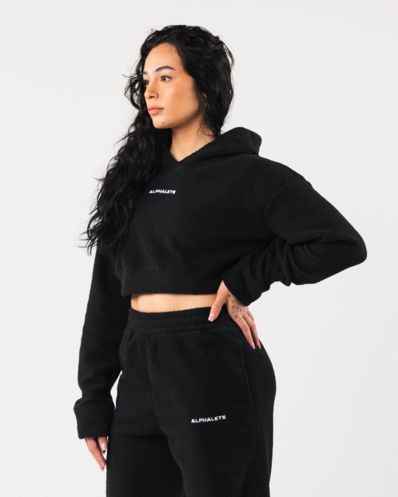 Women's Alphalete King Crop Hoodie Hoodie Black | 4608-EPDSV