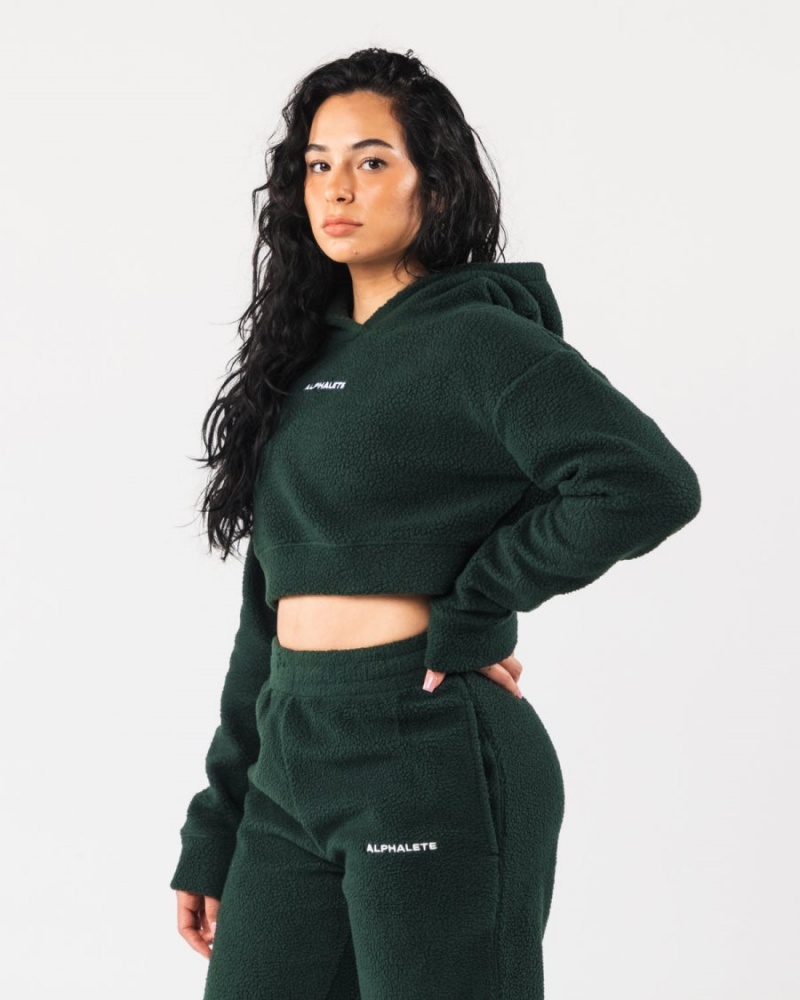 Women's Alphalete King Crop Hoodie Hoodie Evergreen | 0795-CFVMK