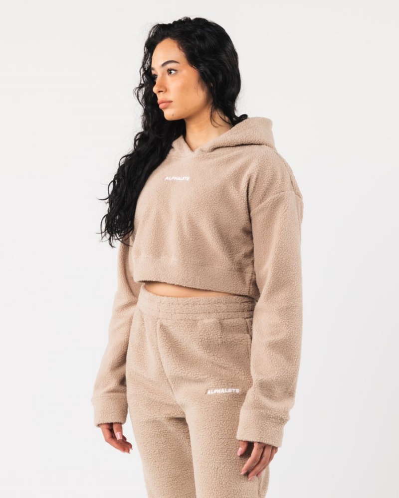 Women's Alphalete King Crop Hoodie Hoodie Linen | 3598-XMZHY