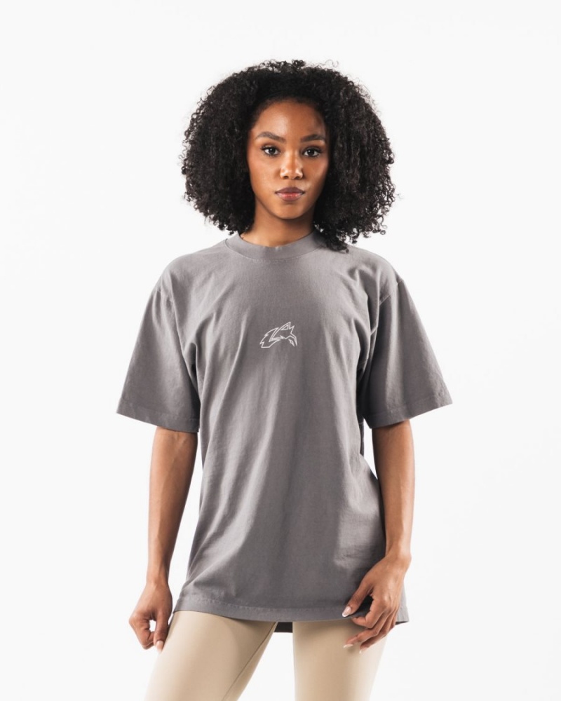 Women's Alphalete LDB Outline Tee Shirts Charcoal | 3687-IWOUL