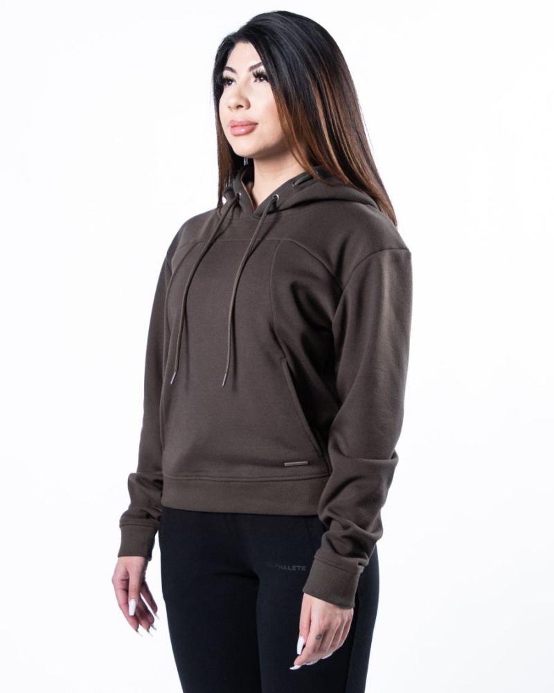 Women's Alphalete Monarch Hoodie Hoodie Dark Brown | 8536-EDVNS