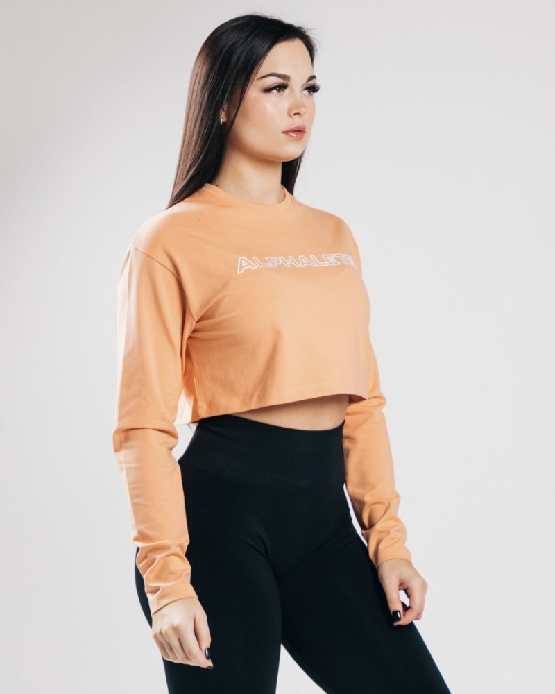 Women's Alphalete Outlined Long Sleeve Crop Long Sleeve Orange Frost | 7826-YOQUH