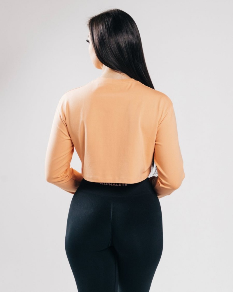 Women's Alphalete Outlined Long Sleeve Crop Long Sleeve Orange Frost | 7826-YOQUH