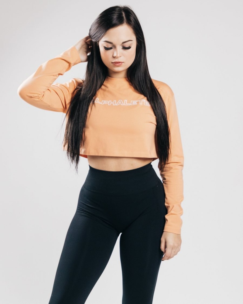 Women's Alphalete Outlined Long Sleeve Crop Long Sleeve Orange Frost | 7826-YOQUH