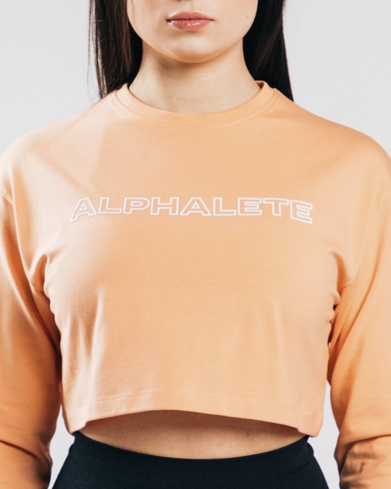 Women's Alphalete Outlined Long Sleeve Crop Long Sleeve Orange Frost | 7826-YOQUH