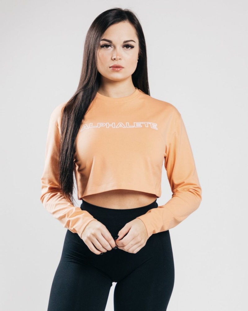 Women\'s Alphalete Outlined Long Sleeve Crop Long Sleeve Orange Frost | 7826-YOQUH