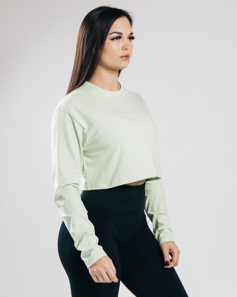 Women's Alphalete Outlined Long Sleeve Crop Long Sleeve Frozen Spring | 6897-ZXIAY