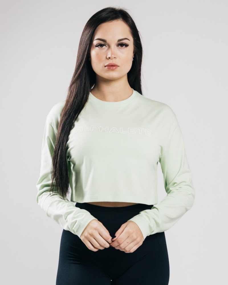 Women\'s Alphalete Outlined Long Sleeve Crop Long Sleeve Frozen Spring | 6897-ZXIAY