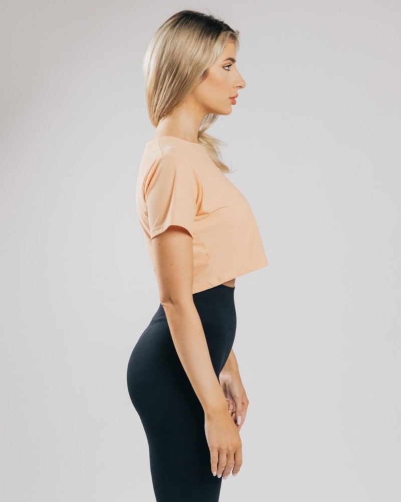 Women's Alphalete Signature Mesh Crop Shirts Orange Frost | 8296-AHBJM