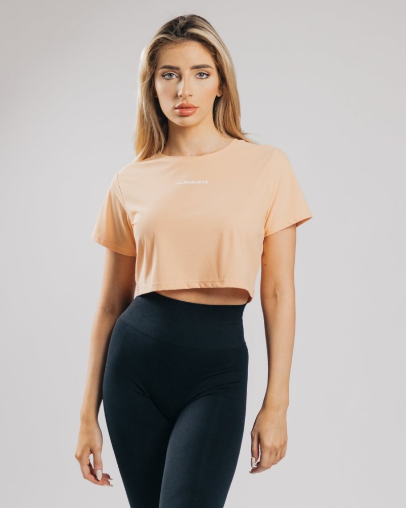 Women\'s Alphalete Signature Mesh Crop Shirts Orange Frost | 8296-AHBJM