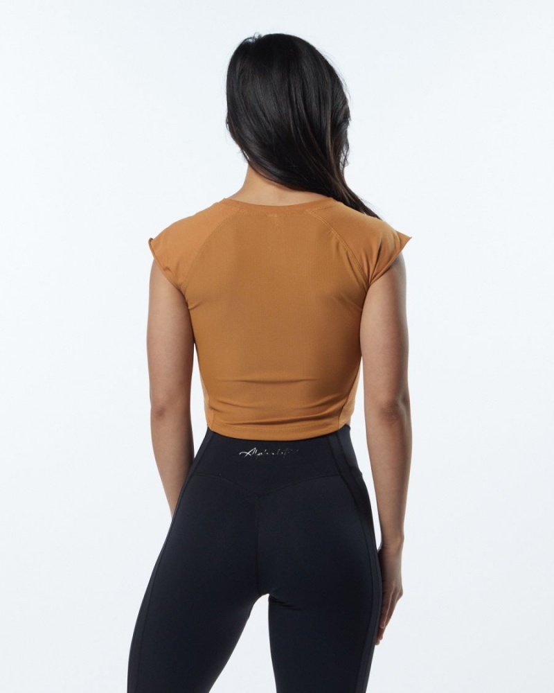 Women's Alphalete Velocity Crop Tee Shirts Chestnut | 3846-JHYPM