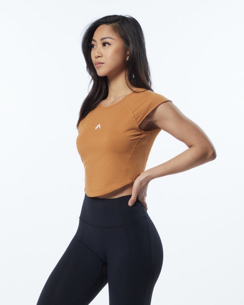 Women's Alphalete Velocity Crop Tee Shirts Chestnut | 3846-JHYPM