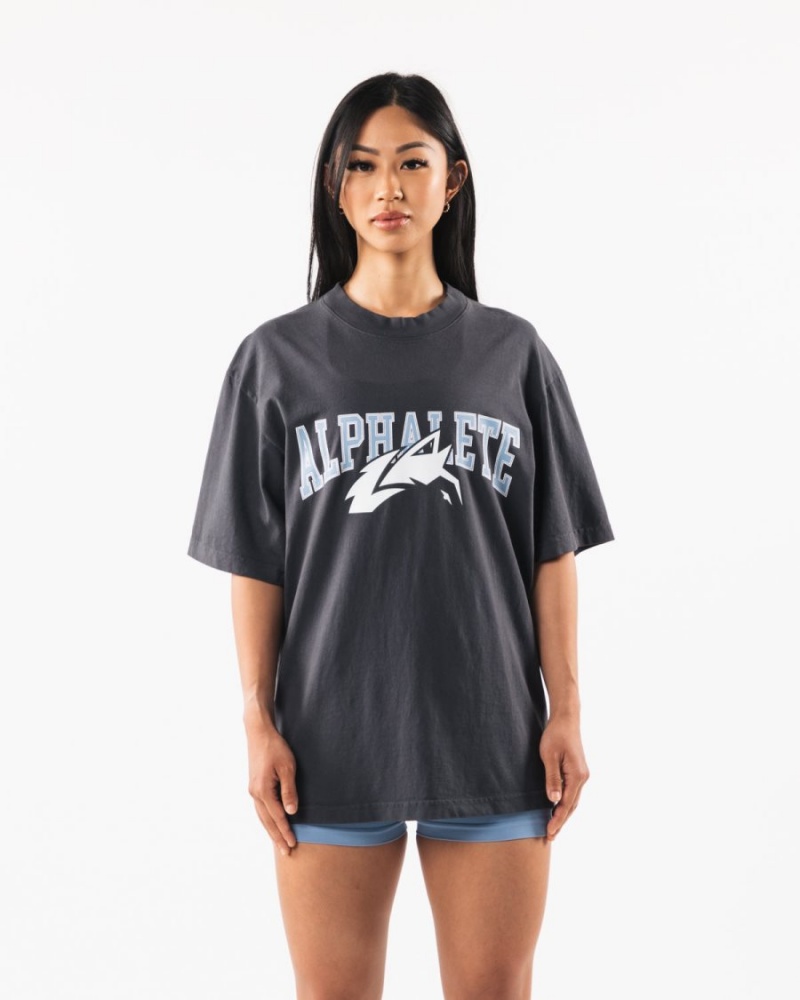 Women's Alphalete Wolf Head Tee Shirts Dolphin Blue | 8012-FXOTA